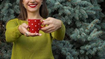 mulher mãos segurando uma acolhedor vermelho caneca contra a fundo do pinho galhos video