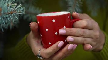 Woman hands holding a cozy red mug against the background of pine branches video