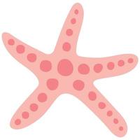 linda mano dibujado estrella de mar. blanco fondo, aislar. vector ilustración.