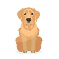 Golden retriever dog vector Illustration