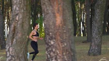 stänga upp av kvinna med hörlurar löpning genom ett höst skog på solnedgång video