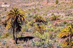 escénico rural paisaje foto