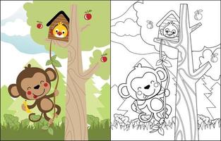 vector cartoon of funny monkey with bird in cage on tree, coloring book or page