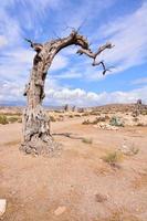 Scenic rural landscape photo