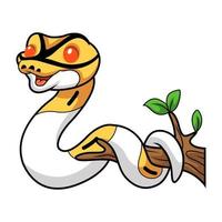 Cute albino pied ball python cartoon on tree branch vector