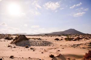 Scenic desert landscape photo