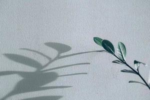 Shadows of flowers house plant on wall wallpapers grey background. Desing, ard, abstract concept photo