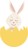 Bunny. Cute pretty Rabbit into Broken Egg. PNG