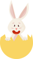 lapin. mignonne lapin en riant dans cassé œuf. png