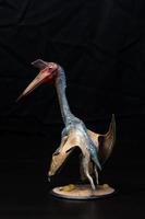 The Pterosaur  dinosaur  in the dark photo