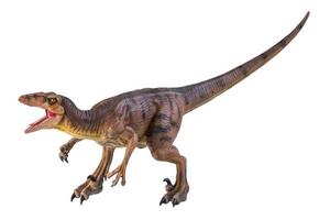 dinosaur , Velociraptor  isolated background photo