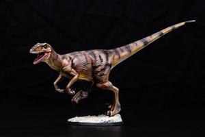 The Velociraptor  dinosaur  in the dark photo