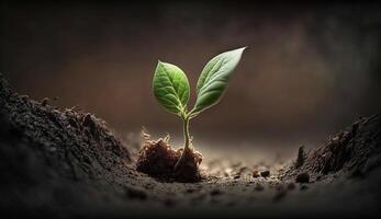 Generative AI, Young plant Growing In sunlight from the ground, macro photorealistic illustration, agricultural vegetable. Nature organic healthy farm food concept, horizontal banner. photo