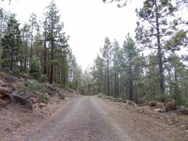 Road in the countryside photo