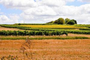 Scenic rural landscape photo