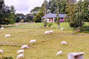 Scenic rural landscape photo