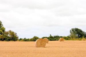 escénico rural paisaje foto