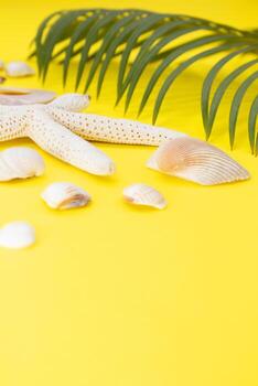 blanco estrella de mar, conchas con palma hojas en amarillo antecedentes. vertical. viajar, vacaciones, verano. Copiar espacio foto