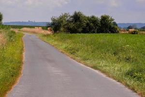 Road in the countryside photo