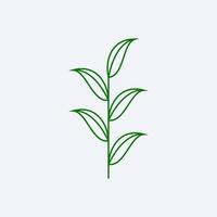 green fresh leaf design vector