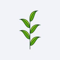 green fresh leaf design vector