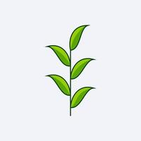 green fresh leaf design vector