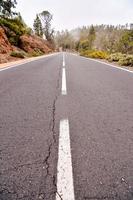 Road in the countryside photo