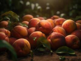 Beautiful organic background of freshly picked peaches created with technology photo