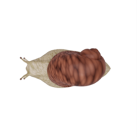 3d Snail isolated png