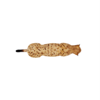 3d lince isolato png