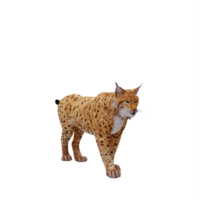 3d Luchs isoliert png