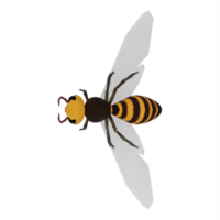 3d Wasp isolated png