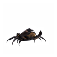 3D-Krabbe isoliert png