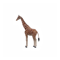 3d giraffe geïsoleerd png