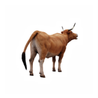 granja animal buey png