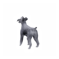 schnauzer chien isolé png