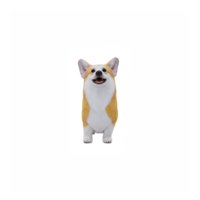 en pembroke welsh corgi hund full kropp png