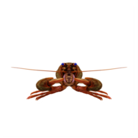 3d astacus isolated png