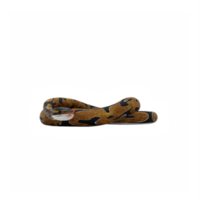 3d Burmese Python png