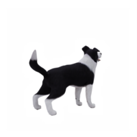 3d Dog Bordercollie png