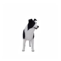 3d cane border collie png