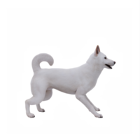 3d jindo cane png