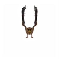 3d Eule isoliert png