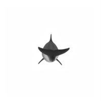 3d Tümmler Delfin isoliert png