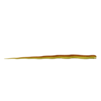 serpente amarelo víbora png