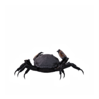 3d krab geïsoleerd png