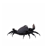 3D-Krabbe isoliert png