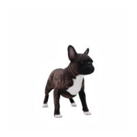 3d français bouledogue png