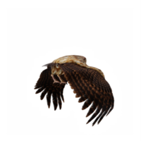 3d búho aislado png