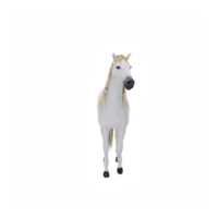 branco cavalo isolado png